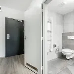 V Podebradech Apartment *