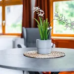 V Podebradech Apartment