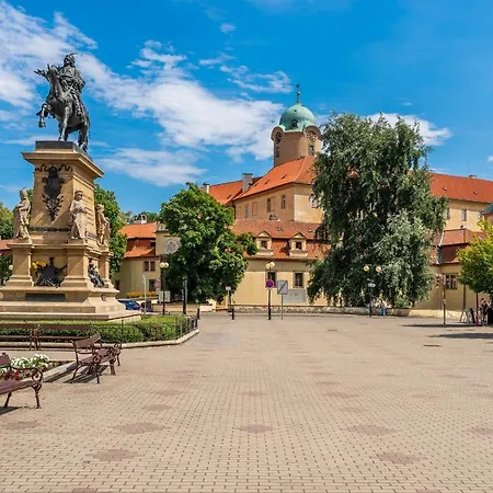 V Podebradech Apartment