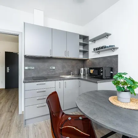 V Podebradech Apartmán Poděbrady