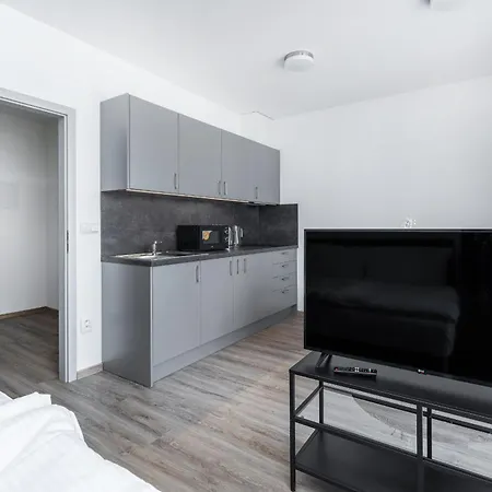 V Podebradech Apartment