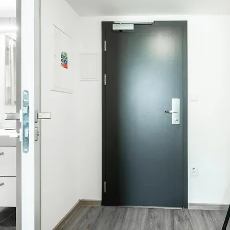 V Podebradech 公寓 波杰布拉迪