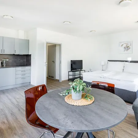Apartmán V Podebradech *