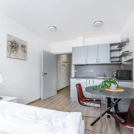 V Podebradech Apartment *