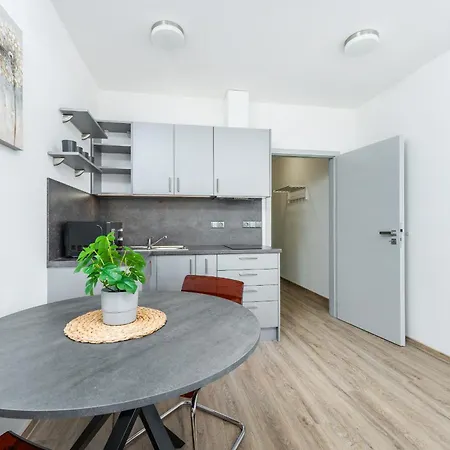 V Podebradech 公寓 *