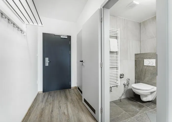 V Podebradech Apartment