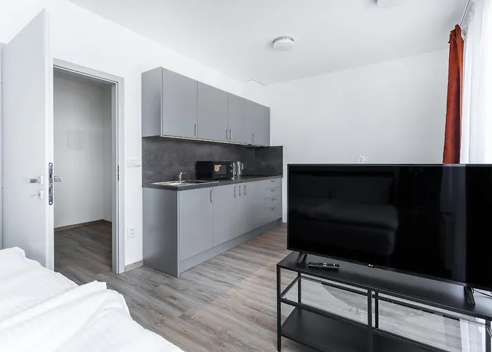 V Podebradech Apartment