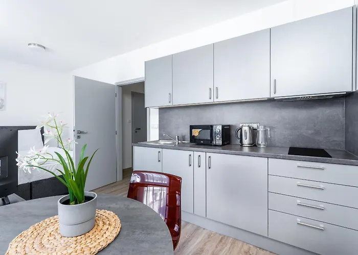 Apartment V Podebradech