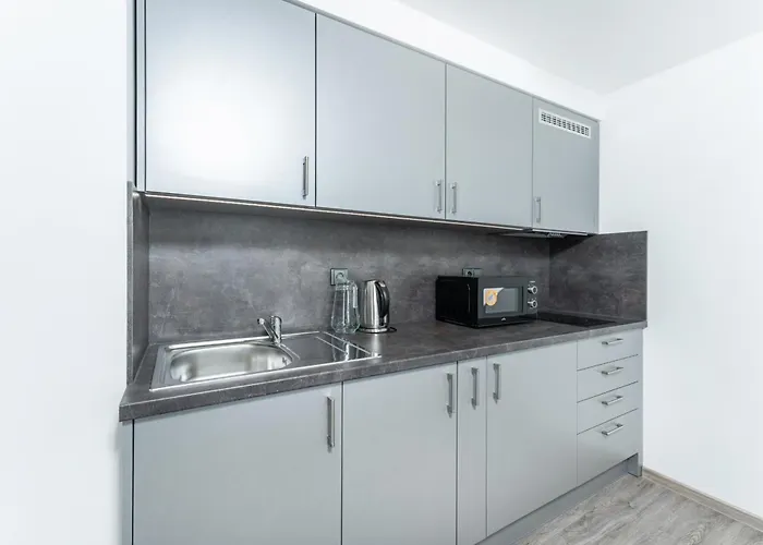 V Podebradech Apartment