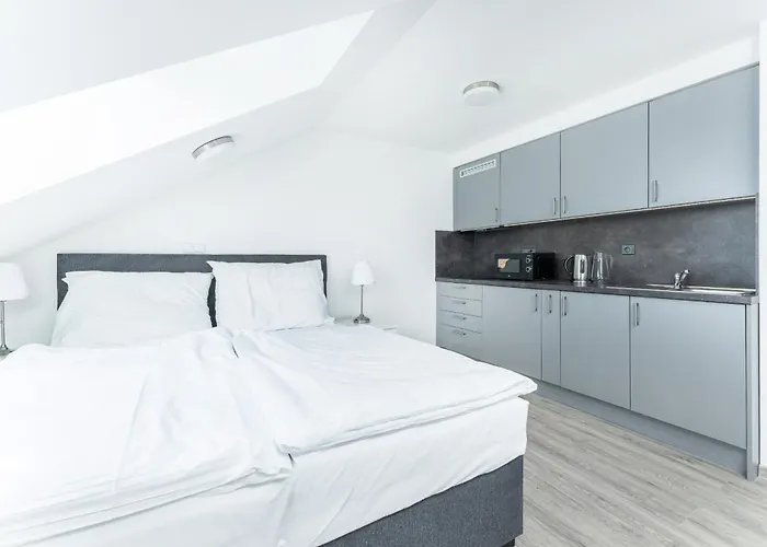 Apartment V Podebradech *