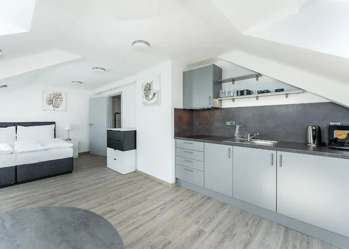 V Podebradech Apartment