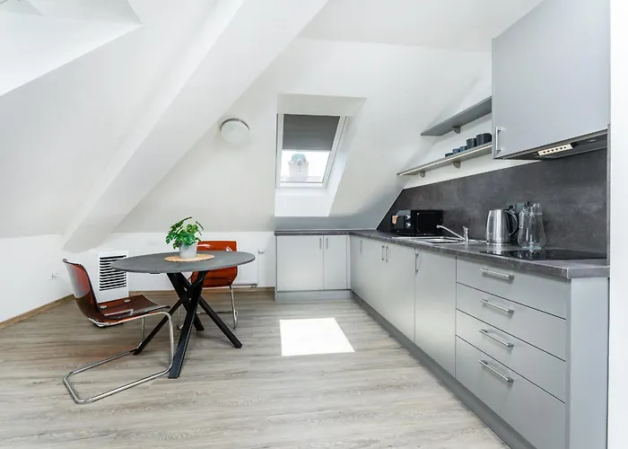 V Podebradech Apartment *