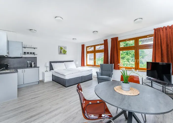 V Podebradech Apartment