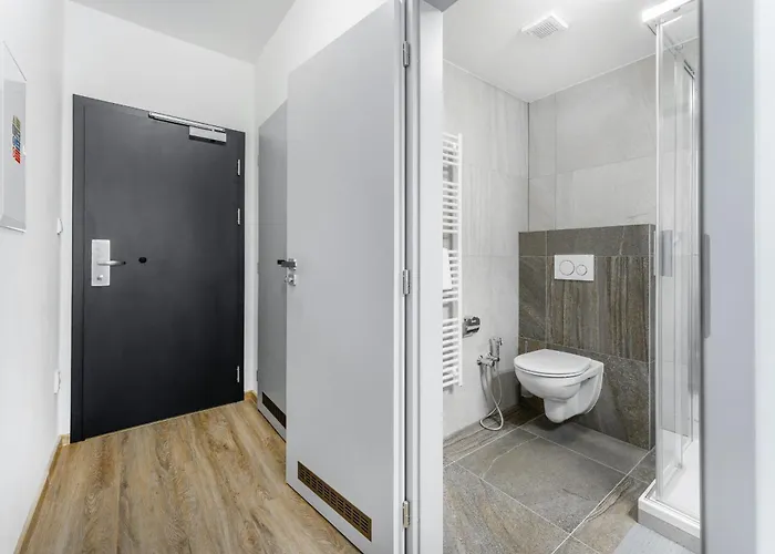 V Podebradech Apartment Poděbrady