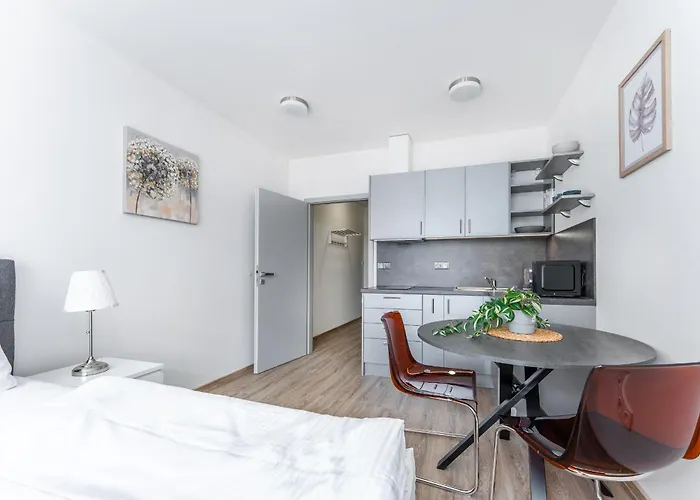 V Podebradech Apartment *