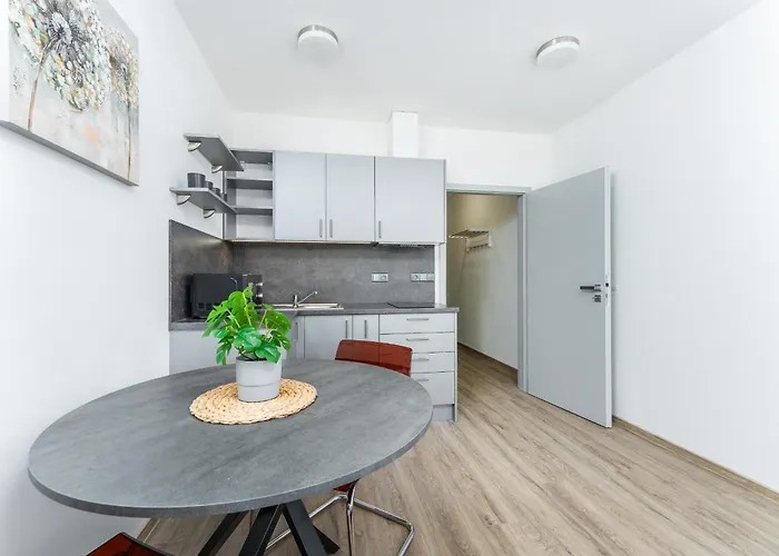 V Podebradech Apartment *